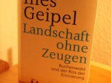 Landschaft ohne Zeugen. Buchenwald und der Riss der Erinnerung
